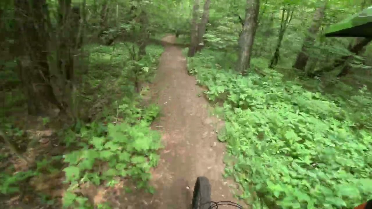 Гроза Лес 60+км/ч