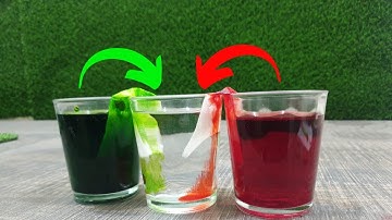 Travelling Waters Food Colour Experiment | Color Mixing Incredible Science | UAG HACKS
