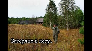 ПОКИНУТЫЕ ПОСЁЛКИ ПОСРЕДИ ЛЕСА. ВОКРУГ НИ ДУШИ, ТОЛЬКО ЛЕС, ЖИВОТНЫЕ И ТЫ.