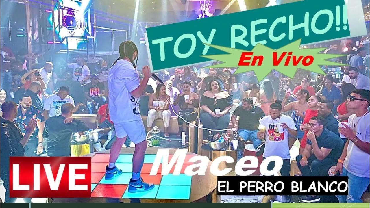 Toy Recho (en vivo) Maceo El Perro Blanco YouTube