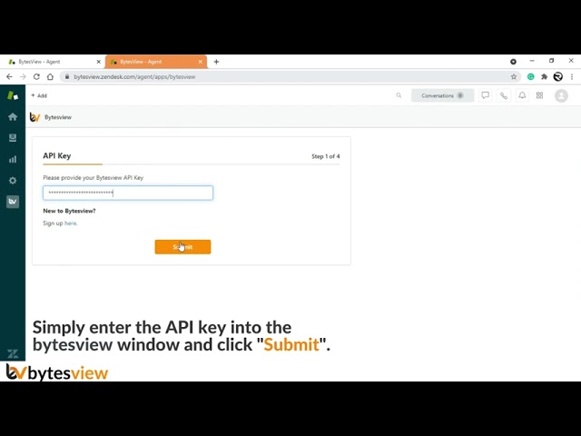 BytesView Zendesk Plugin Installation Demo