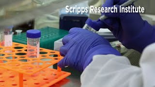 Famous Trust Index: Scientists say no evidence mutated COVID-19 virus is weaker Profile