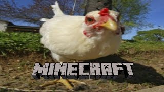 DON'T UPSET THE BAWK BAWK GOD-Minecraft-Mineplex-Bawk Bawk Battles(New Mineplex minigame).