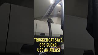 #trucker #cat wants to train #cdl #students