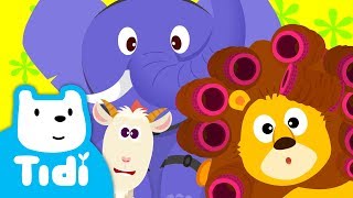 Animal Party ♪ Super Fun Animal Songs | Kids Dance  | Tidi Songs for Children ★TidiKids