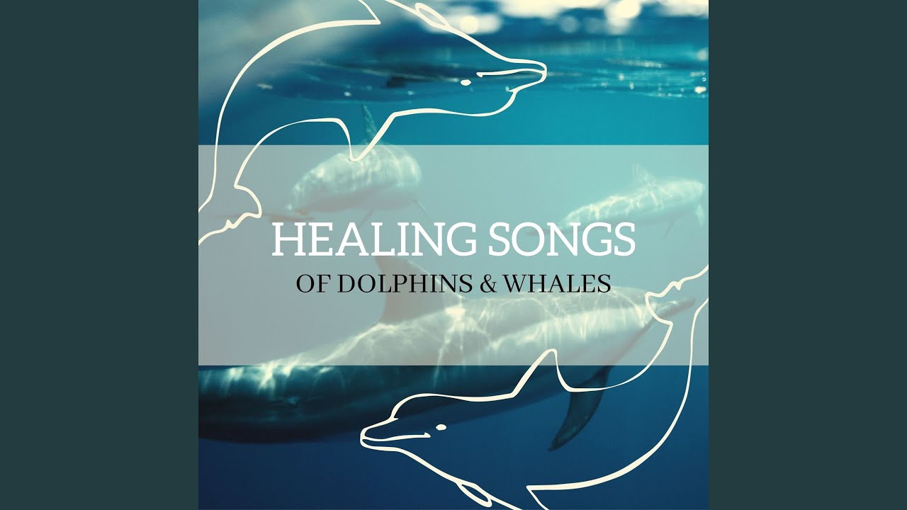 Healing Songs Of Dolphins And Whales