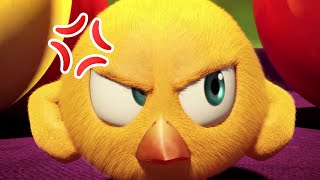 Where&#39;s Chicky ? 😡 BAD PLAYER - NEW episodes in HD