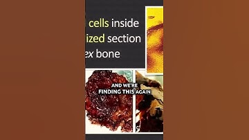 Evolutionists Are NOT Going to Like This!