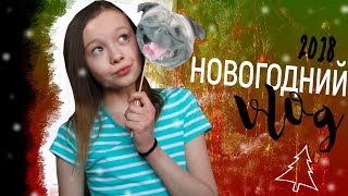 Новогодний Влог  2018 || VLOG: Новый Год 2018 // Встречаем, Отмечаем, И Празднуем Новый Год Вместе