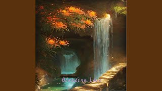 Bleeding Love - Nico Yun