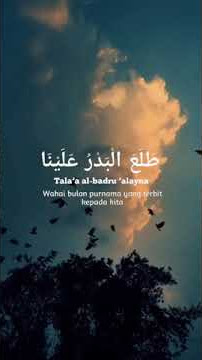 sʜᴏʟᴀᴡᴀᴛ sʜᴏʀᴛ ᴠɪᴅᴇᴏ