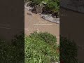 اكسبلور ياجوج لايك المراه دويتو اعتني متابعه اهميه تصميمي الرمال