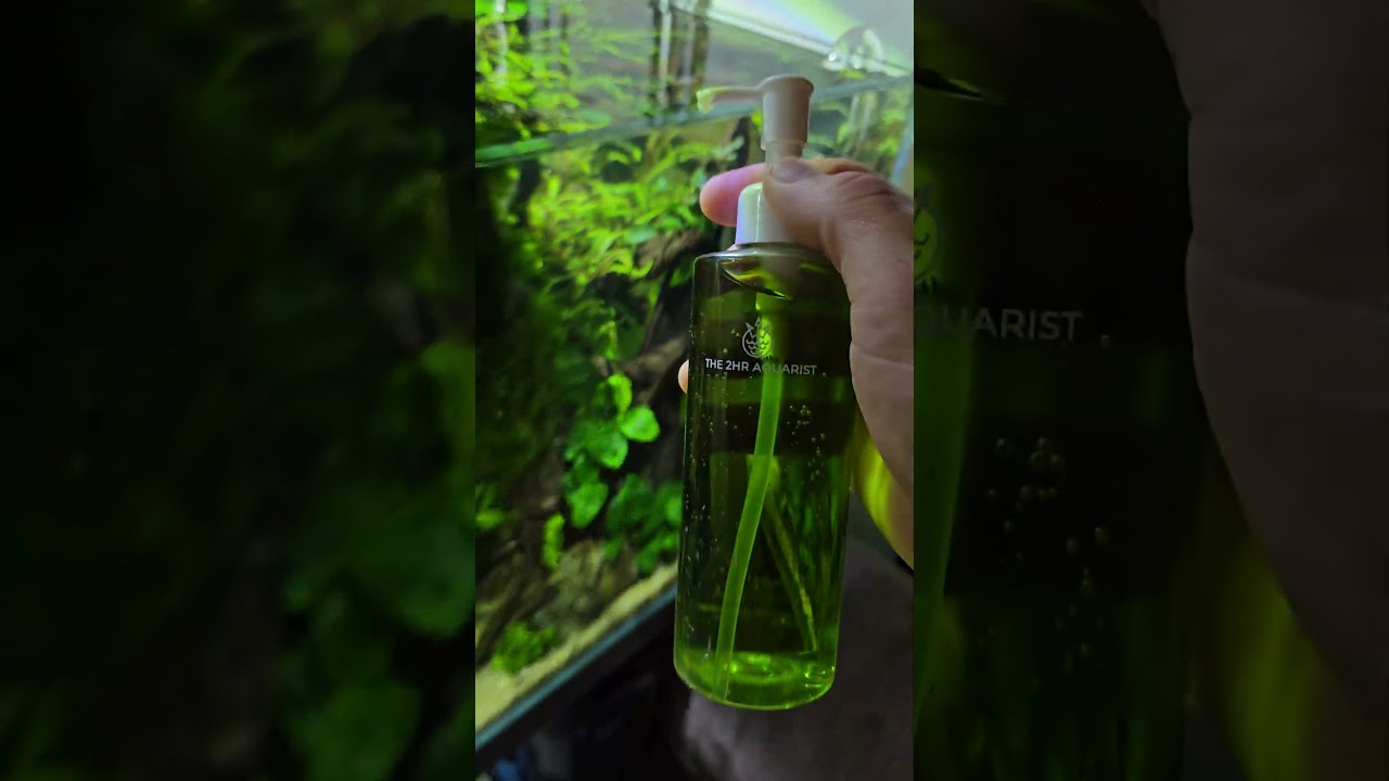 I'm seeing amazing results with the 2HR Aquarist fertilizer! link in bio discount 
