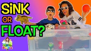 Will it Sink or Float Science Experiment 