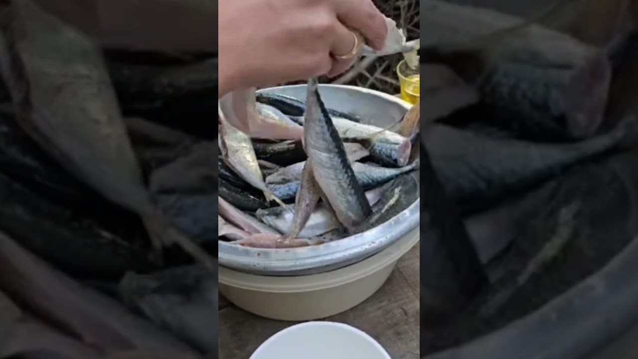 🐟 KIZARIRKEN BİLE İŞTAH KABARTTI#keşfet#keşfetbeniöneçıkar#vlog#nature#natural#yemek#yemektarifleri 🐟 KIZARIRKEN BİLE İŞTAH KABARTTI#keşfet#keşfetbeniöneçıkar#vlog#nature#natural#yemek#yemektarifleri