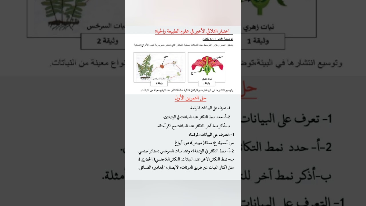 اختبار الفصل الثالث في العلوم الطبيعية ثانية متوسط