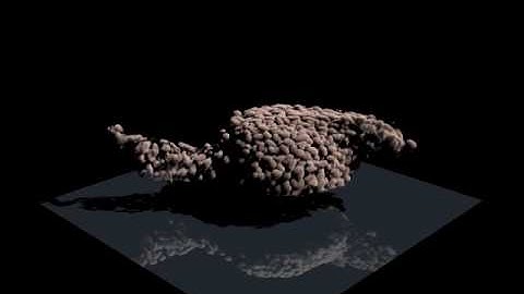 3D SFP rendering of a cell cluster