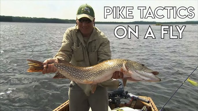 How to Setup for Pike Fly Fishing  Leaders, Flies, Flylines 