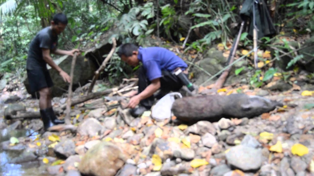 Karen hunting 2016 YouTube