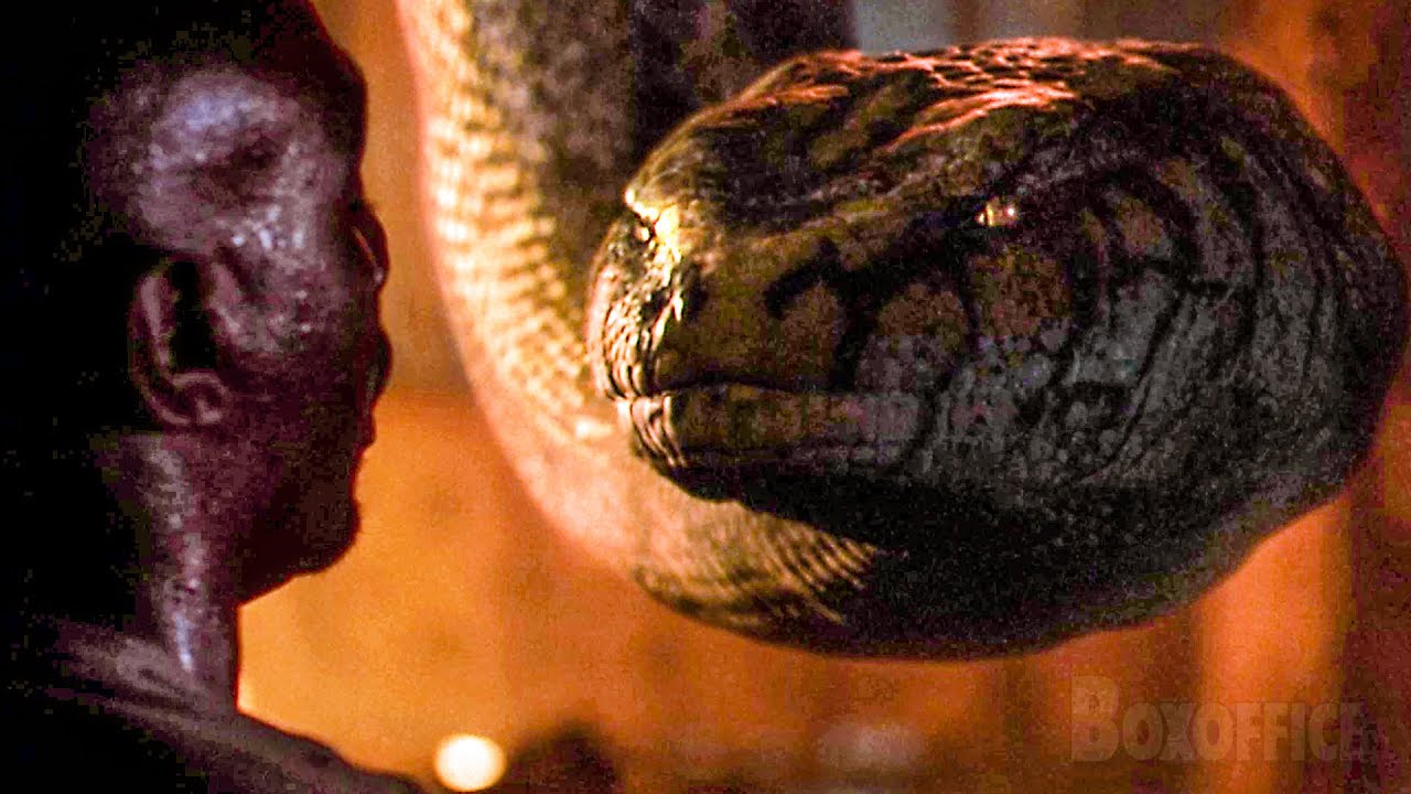 Traído, picado por uma aranha e comido por uma cobra Anaconda 2 A