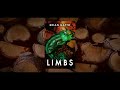 Limbs book release trailer