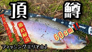 A 0.6g Forte lure will do the trick! A detailed explanation of the