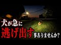 【実録】橋を見た瞬間、急に離れていった