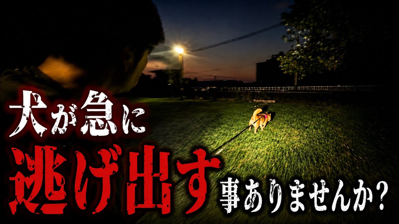 【実録】橋を見た瞬間、急に離れていった