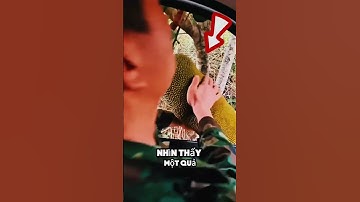 anh chàng điên này bị ám ảnh với việc hái trái cây qua cửa xe hơi #shorts