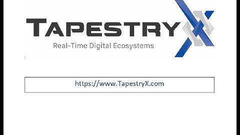 TapestryX - A Distributed Ledger for Real-time Digital Ecosystems