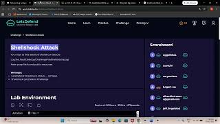 Shellshock Attack - Challenges