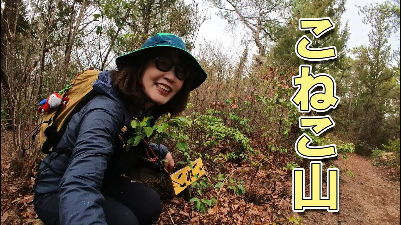 2024年3月　香川県丸亀市 綾歌森林公園の「こねこ山」と「城山」をハイキング。こねこ山の山頂標識が可愛くて♡ 鳥に癒されました。でも予想外の生き物出現でびっくり！？