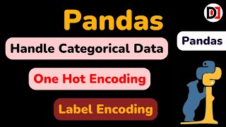 Handle Categorical Data in Pandas | Label Encoding & One Hot Encoding for Categorical Data Devduniya