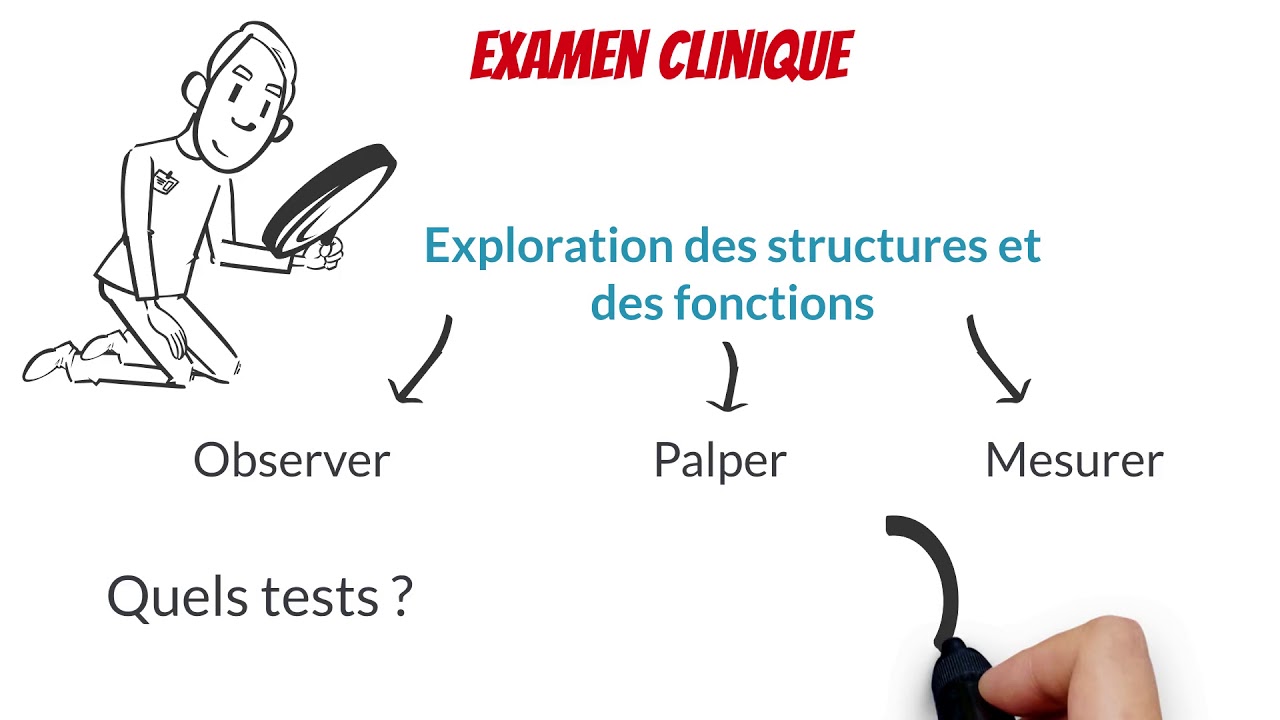 Compétence 1 - Établir un diagnostic kinésithérapique