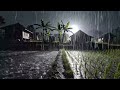 Gentle Night Rain ASMR in Peaceful Countryside Rice Fields Beside Village Homes with Wind Sounds 33