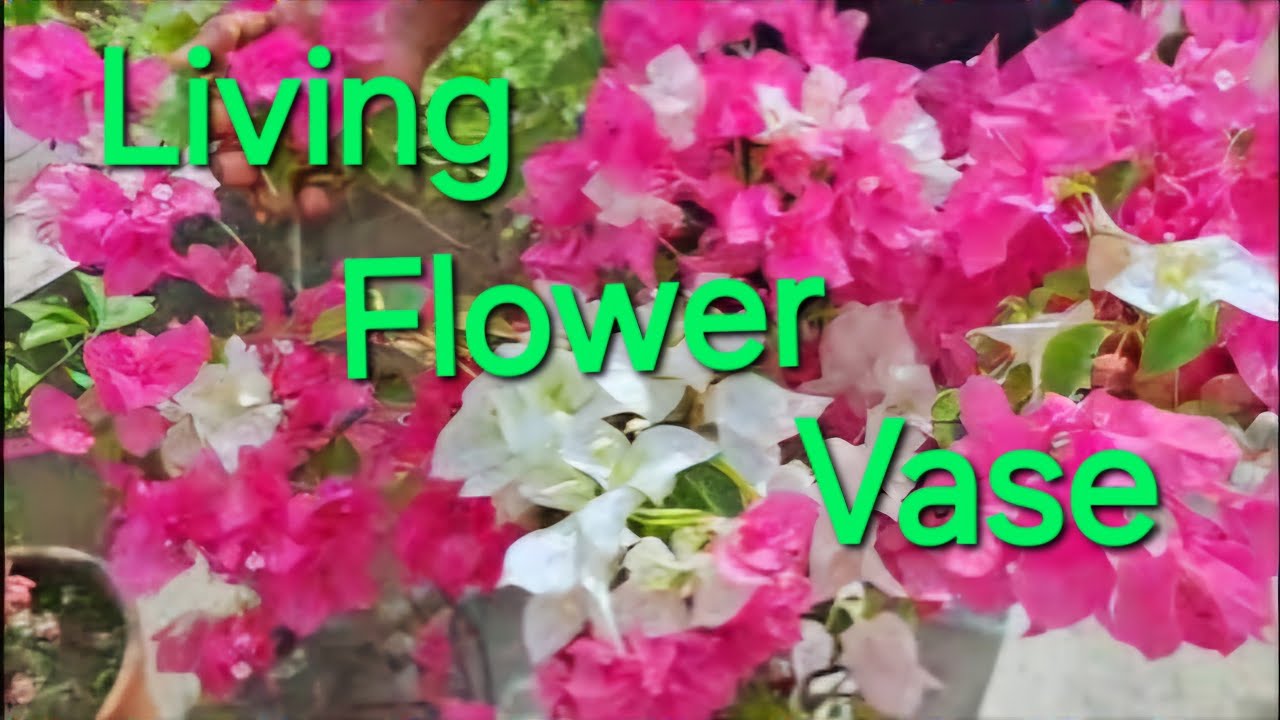 Living Flower Vase @submomthita