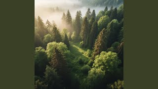 Southern Beyond