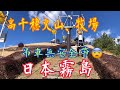 《日本霧島》Day5💯上山吊車🚡無安全帶😨高千穗火山🌋高千穗牧場 🐴揸奶😂鮮牛乳 燒肉😋