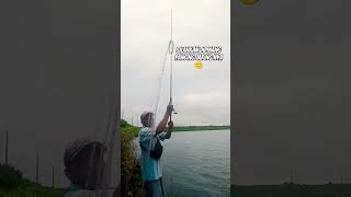 Sore sore makin gacor... Mak Gandul #coversong #fishing #njaringikan #capcut #mancing