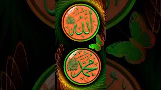 Beautiful Islamic Video🥰 #islamic #shortsvideo #makkah #naat #allahﷻ #islamicvideos#8784