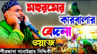 কারবালার কষ্টের ঘটনা || Karbalar new waz || পীরজাদা সানাউল্লাহ সিদ্দিকী  2022 new jalsa