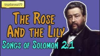 Songs of Solomon 2:1 - The Rose And the Lily || Charles Spurgeon