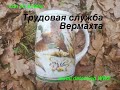 Трудовая служба Вермахта. Коп по войне. Metal Detecting WW2.