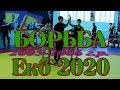 Первенство по греко-римской борьбе | Екатеринбург 1.2.2020