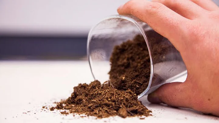 What is Peat Moss? I Pros and Cons