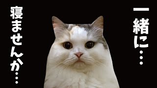 mqdefault.jpg