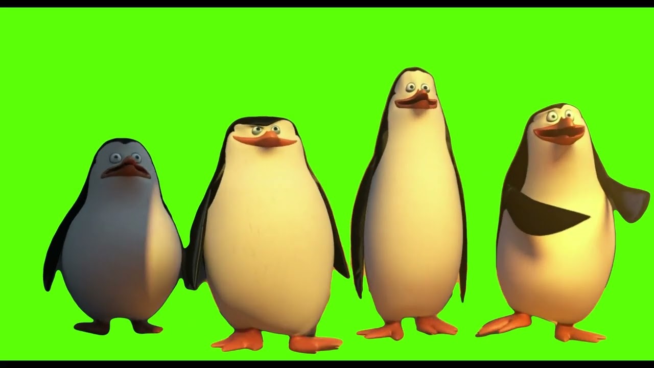 Penguins Green Screen Pack