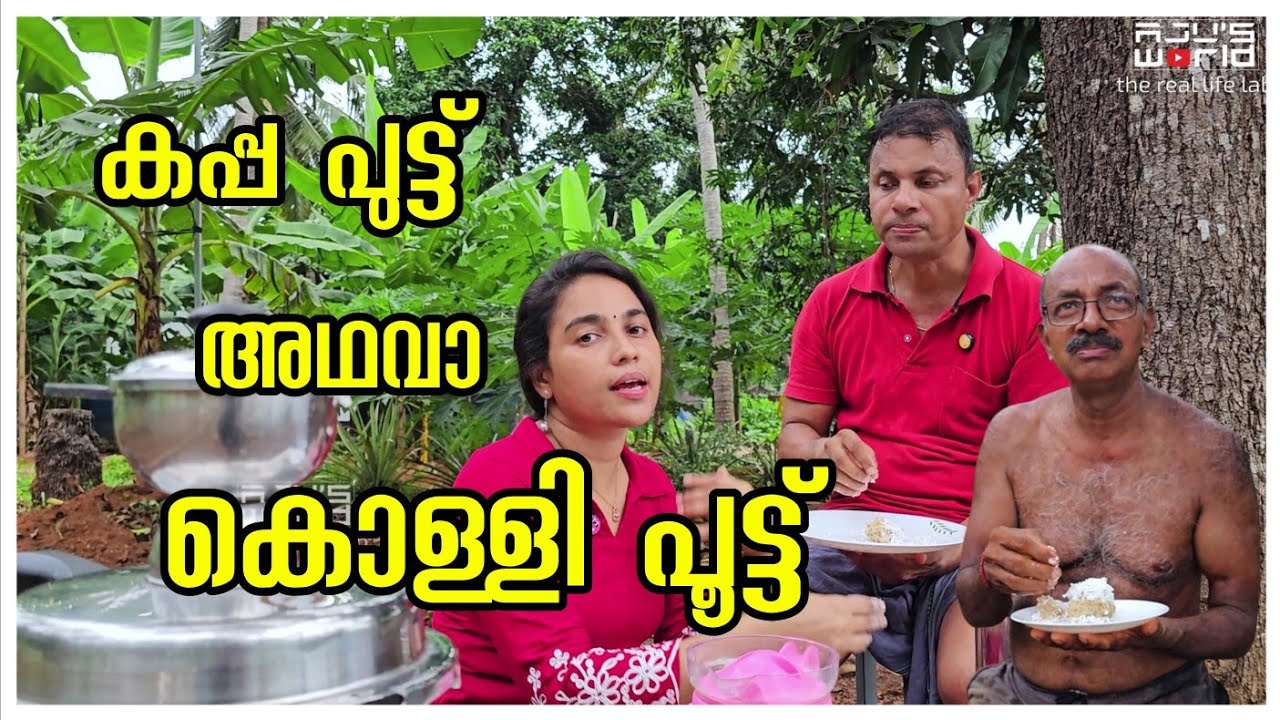 കൊള്ളി പുട്ട്...  /Kappa recipe /Steam cake/Agriculture /Farm/Vegetable garden /Family vlog /Funny