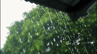 Gentle Rain on Japanese Roof – 30 Minutes for Sleep & Relaxation