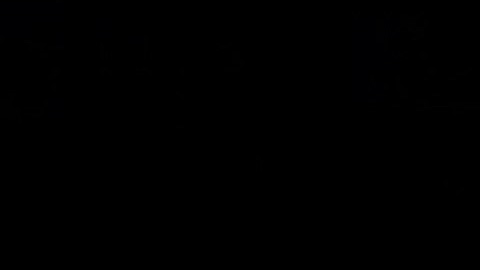 Редактор кода на Python с подсветкой | Tkinter | @florestchannel